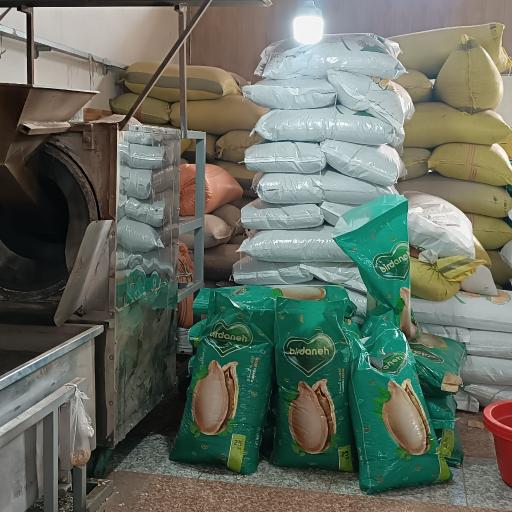 عکس پخش تخمه امیرعلی