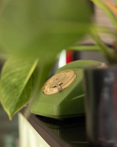 عکس کافه غذا وطن