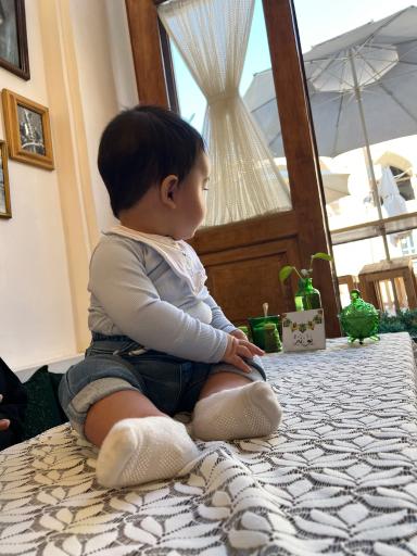 عکس کافه‌ گلاب