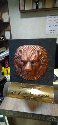 عکس باشگاه بدنسازی پرانیک