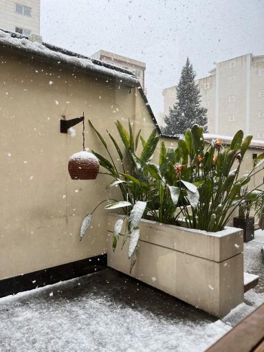 عکس کافه بیکروم