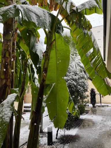 عکس کافه بیکروم