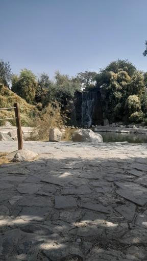 عکس رستوران آبشار باغ مشهد