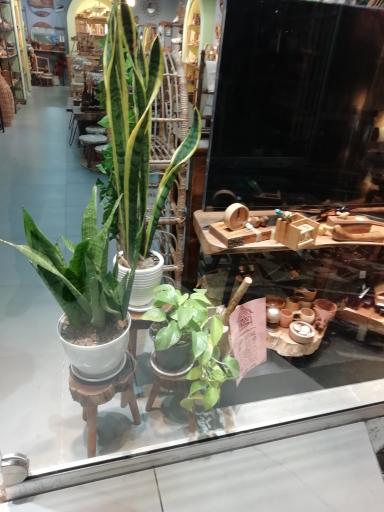 عکس کلبه چوب 