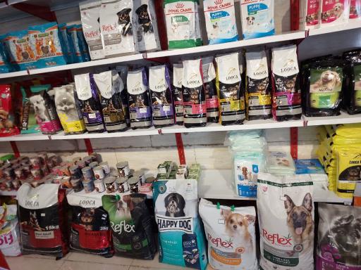 عکس پت شاپ رویال