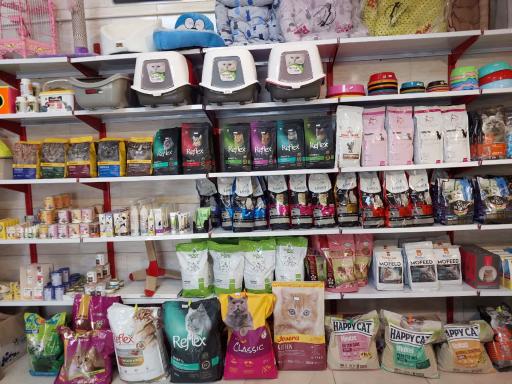 عکس پت شاپ رویال