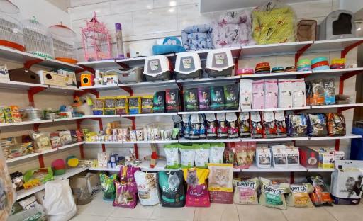 عکس پت شاپ رویال