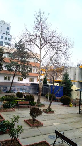 عکس دانشکده علوم و فنون نوین دانشگاه تهران