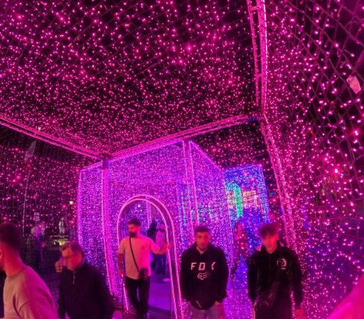 عکس آبنمای موزیکال پارک ملت