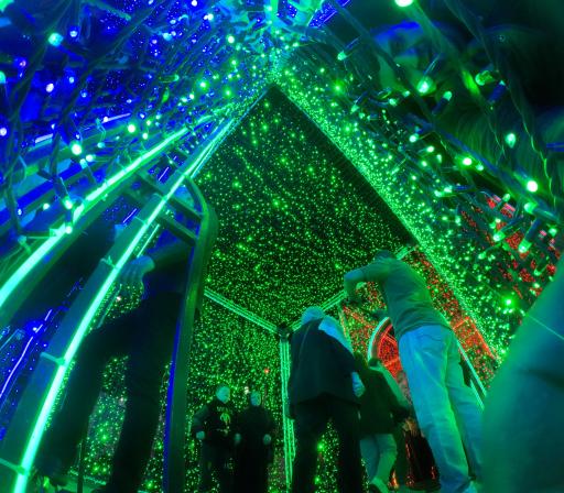 عکس آبنمای موزیکال پارک ملت