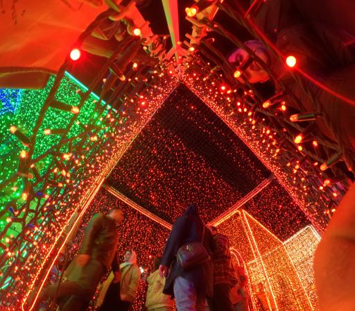 عکس آبنمای موزیکال پارک ملت