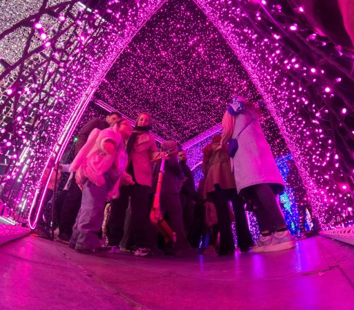 عکس آبنمای موزیکال پارک ملت