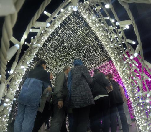 عکس آبنمای موزیکال پارک ملت