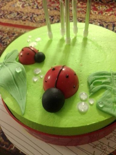 عکس نان و شیرینی تی تی