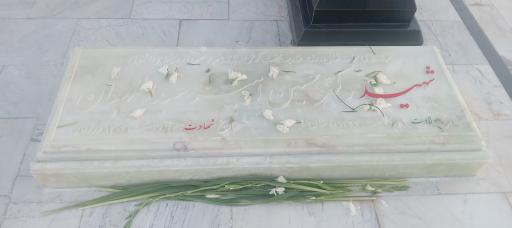 عکس مرقدنمای شهید دکتر حسین امیر عبداللهیان