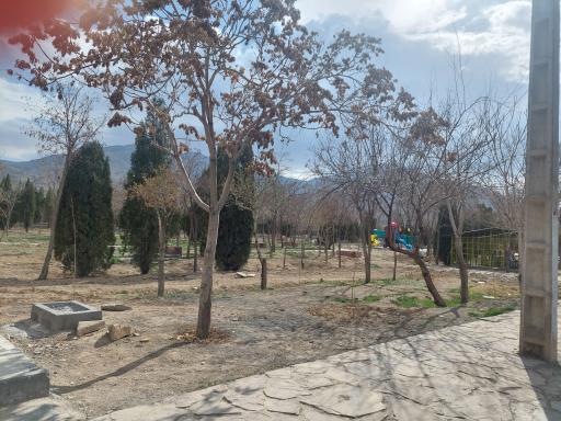 عکس پارک جنگلی شهید باهنر