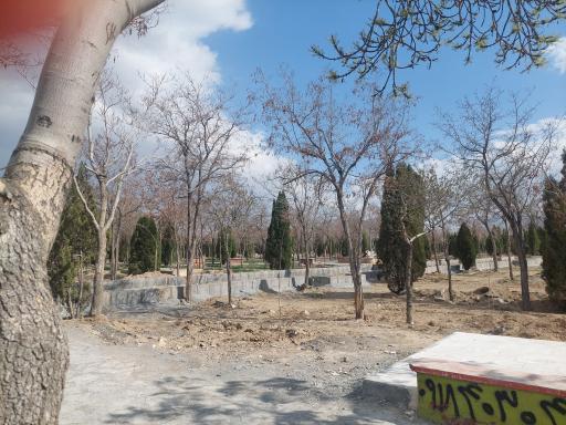 عکس پارک جنگلی شهید باهنر