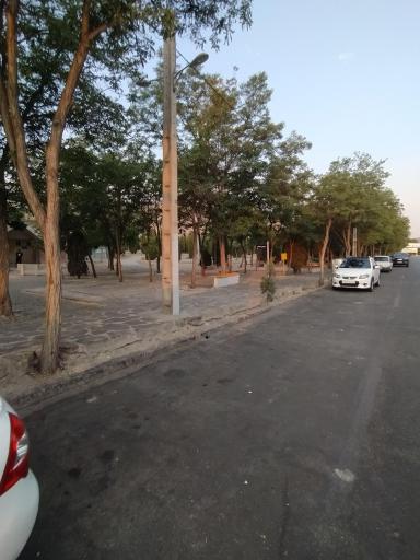 پارک جنگلی شهید باهنر