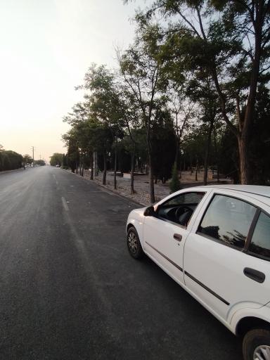 عکس پارک جنگلی شهید باهنر