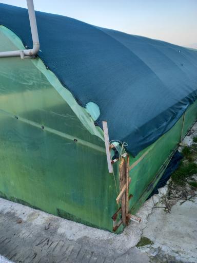 عکس گلخانه اسکندر نورانی