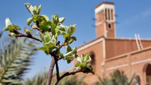 عکس هتل کویر بالی خور و بیابانک