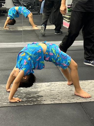 عکس آکادمی ژیمناستیک فتحی 