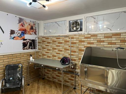 عکس بيمارستان دامپزشکی کهربا