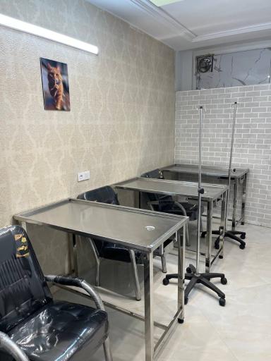 بيمارستان دامپزشکی کهربا