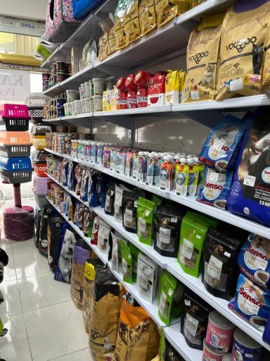 بيمارستان دامپزشکی کهربا