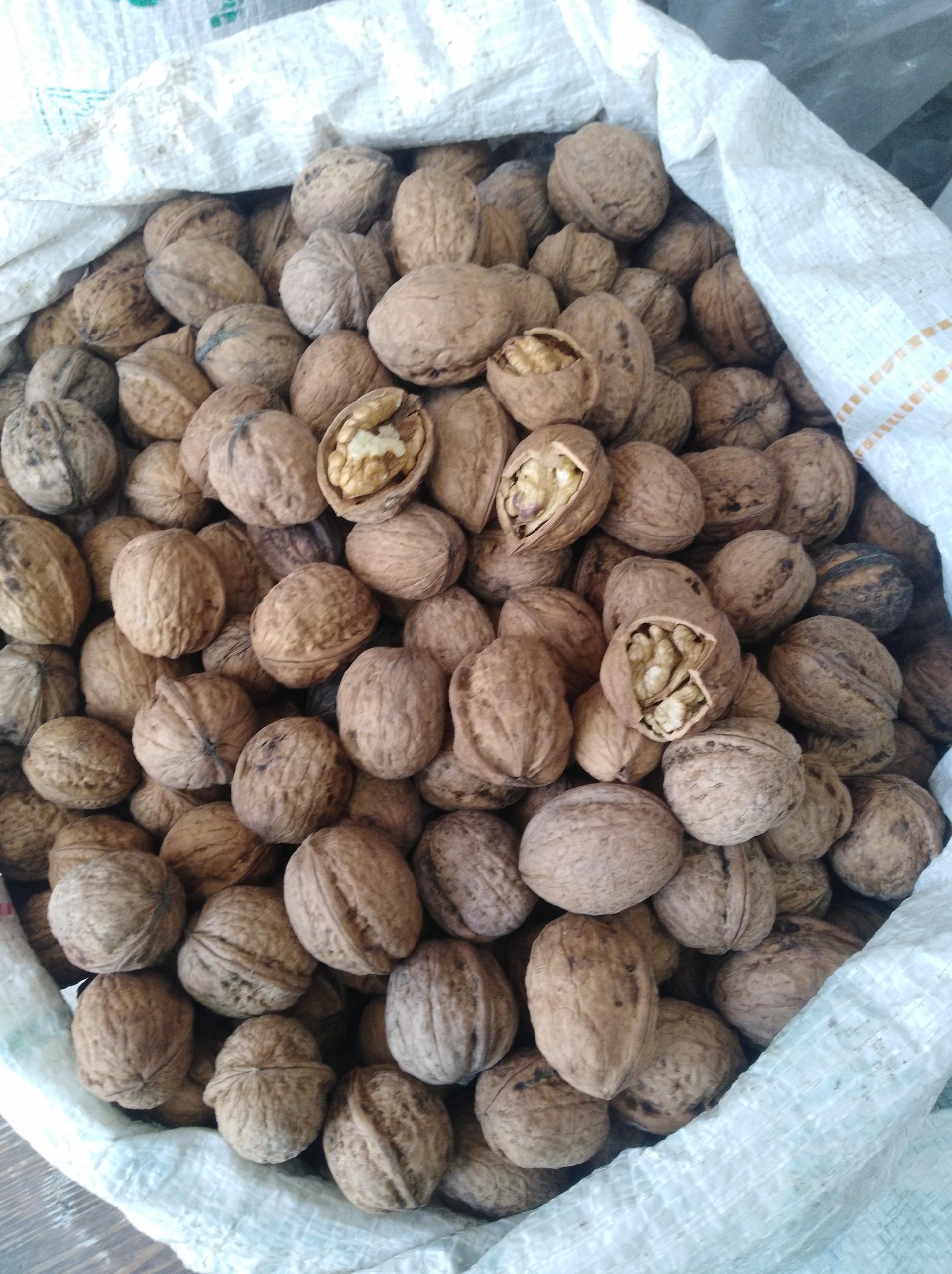 عکس فروشگاه عسل وگردو