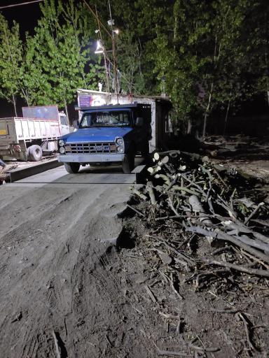 عکس چوب و هیزم شکری 