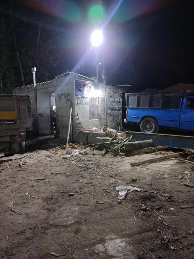 عکس چوب و هیزم شکری 