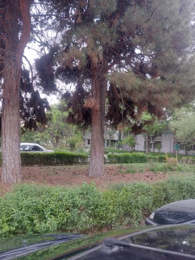 عکس بیمارستان گلستان نداجا