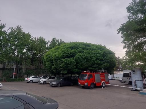 عکس بیمارستان گلستان نداجا