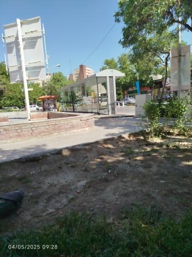 عکس  شهید قرنی 16