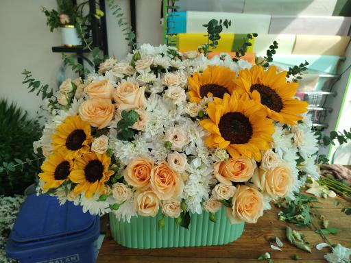 عکس گل سفیر