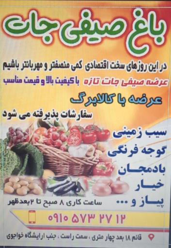 صیفی جات ارزان