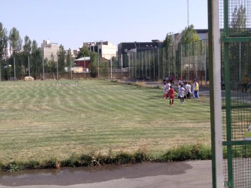 عکس مجتمع ورزشی گلها 