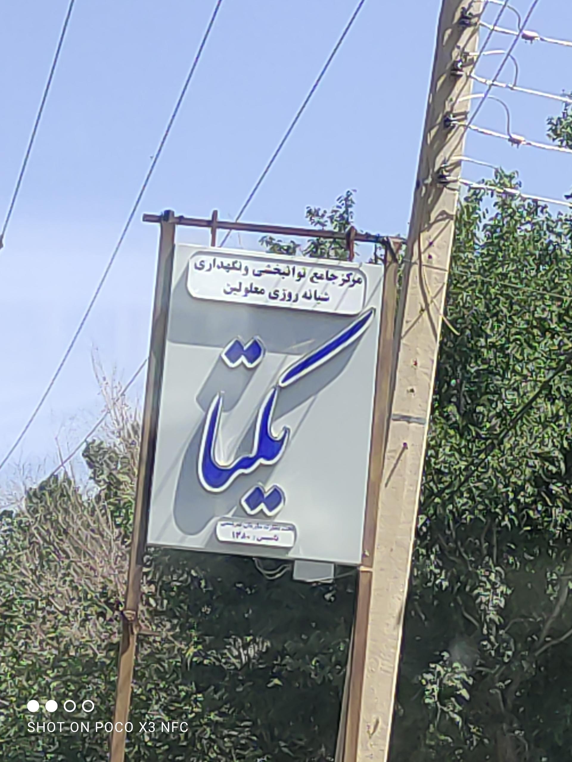 عکس توانبخشی معلولین یکتا