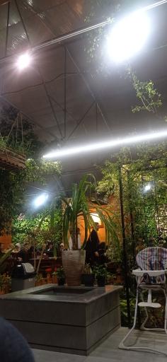 عکس کافه رستوران باغچه