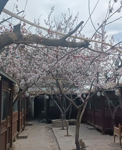 عکس سفره خانه سنتی خان بابا