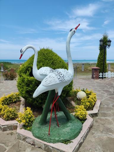 عکس هتل پامچال انزلی (مجتمع فرهنگی تفریحی نزاجا)