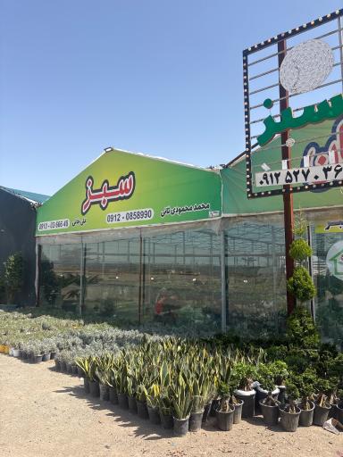 عکس مجتمع خانه گل فیلستان سبز