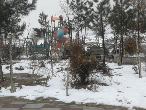 عکس بوستان لاله