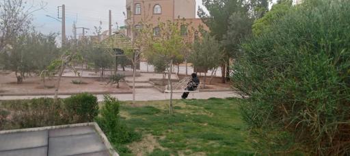 عکس بوستان زمستان