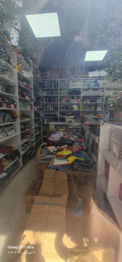 عکس گالری نخل طلایی