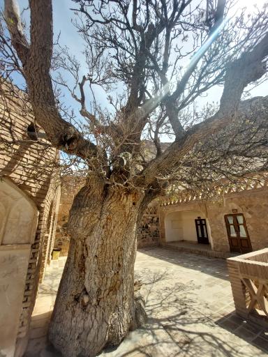 عکس آرامگاه بوذرجمهر (بزرگمهر) قاینی