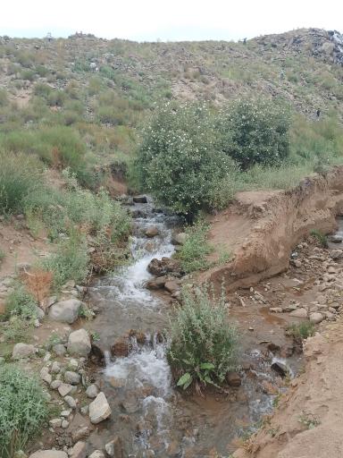 عکس لاله زار