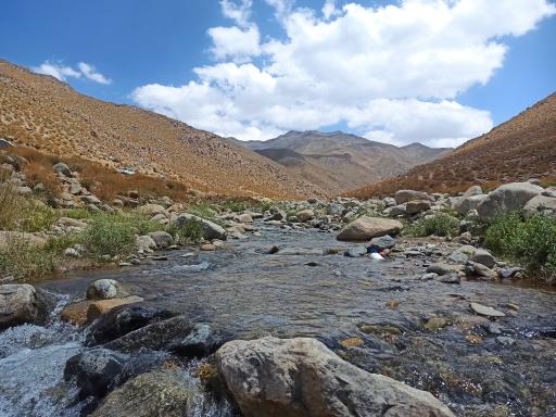 عکس لاله زار