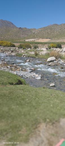 عکس لاله زار